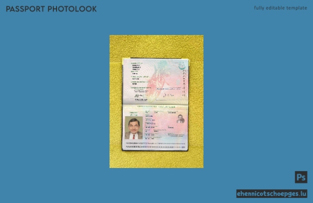 Beispielansicht für ein Passfoto der Union der Komoren
